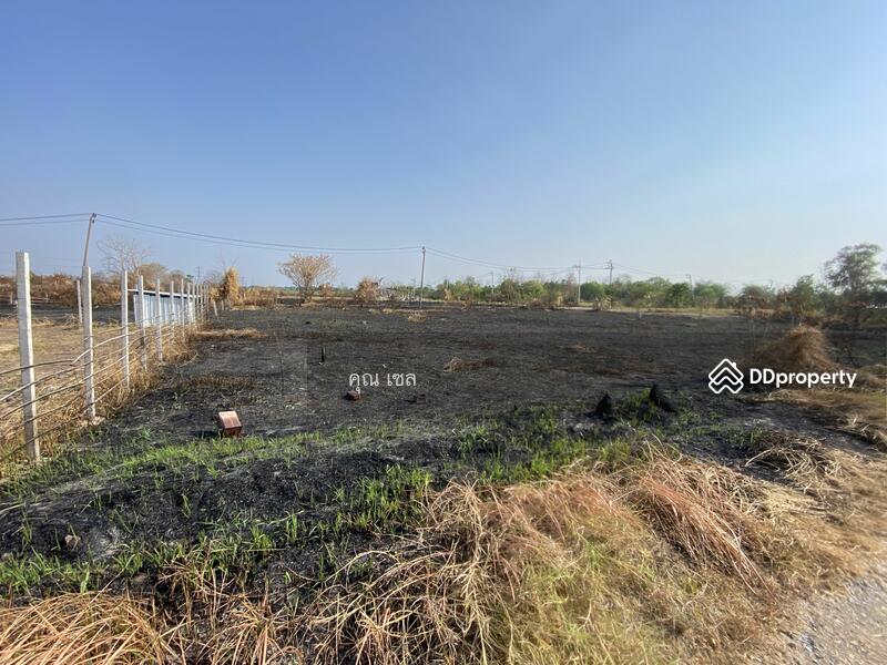 ขาย - ที่ดิน แขวงลำไทร เขตลำลูกกา, ปทุมธานี