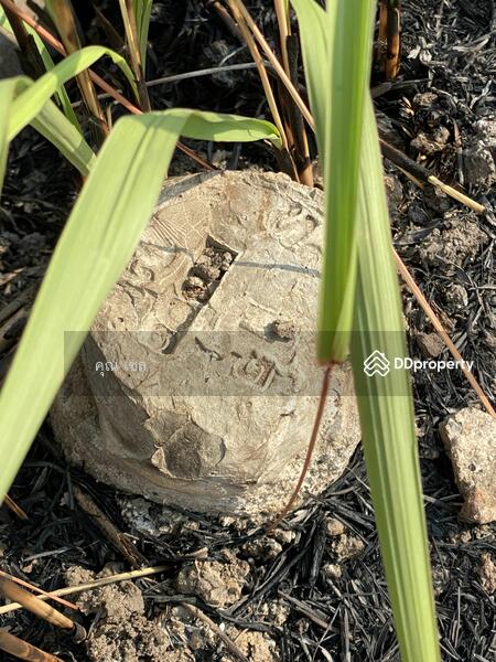 ขาย - ที่ดิน แขวงลำไทร เขตลำลูกกา, ปทุมธานี
