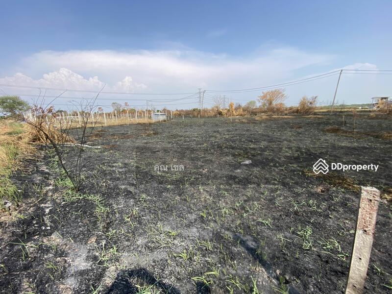 ขาย - ที่ดิน แขวงลำไทร เขตลำลูกกา, ปทุมธานี