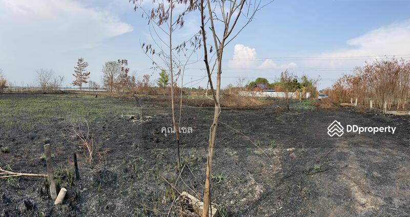 ขาย - ที่ดิน แขวงลำไทร เขตลำลูกกา, ปทุมธานี