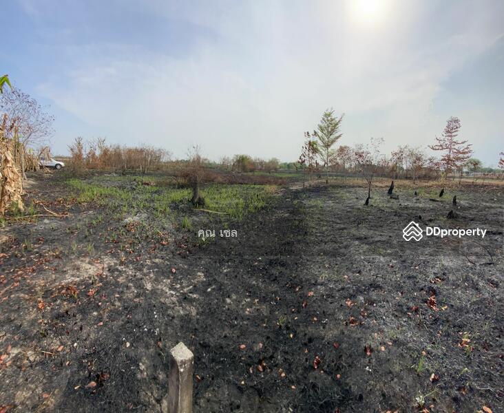 ขาย - ที่ดิน แขวงลำไทร เขตลำลูกกา, ปทุมธานี