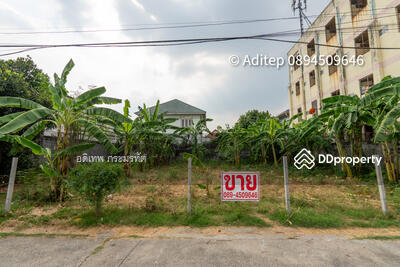 ขาย - ที่ดิน ลำลูกกา คูคต, ปทุมธานี