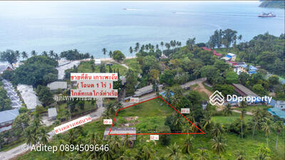 ขาย - ที่ดิน เกาะพะงัน ท้องศาลา, สุราษฎร์ธานี