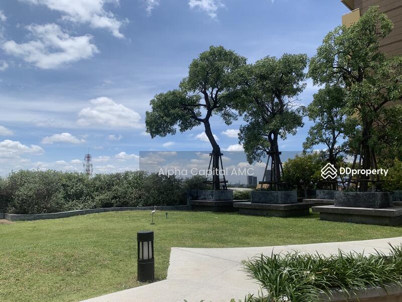 M Society Condominium, Pak Kret, Chaeng Wattana, Nonthaburi, 120/1006 แจ้งวัฒนะ, Bang Phut, Pak Kret, Nonthaburi, 1 Bedroom, 50 sqm, Condo For Sale, by วารุณี จำรูญนุรักษ์, 11370077 - DDproperty.com