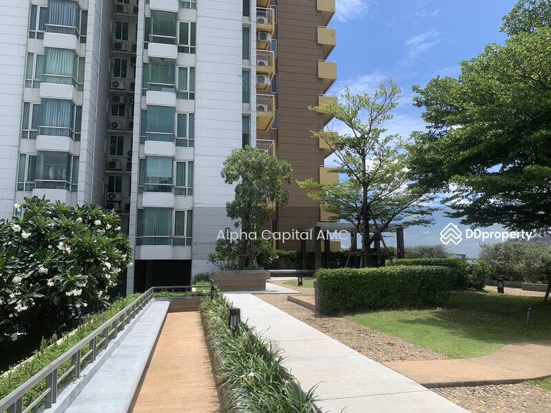 M Society Condominium, Pak Kret, Chaeng Wattana, Nonthaburi, 120/1006 แจ้งวัฒนะ, Bang Phut, Pak Kret, Nonthaburi, 1 Bedroom, 50 sqm, Condo For Sale, by วารุณี จำรูญนุรักษ์, 11370077 - DDproperty.com
