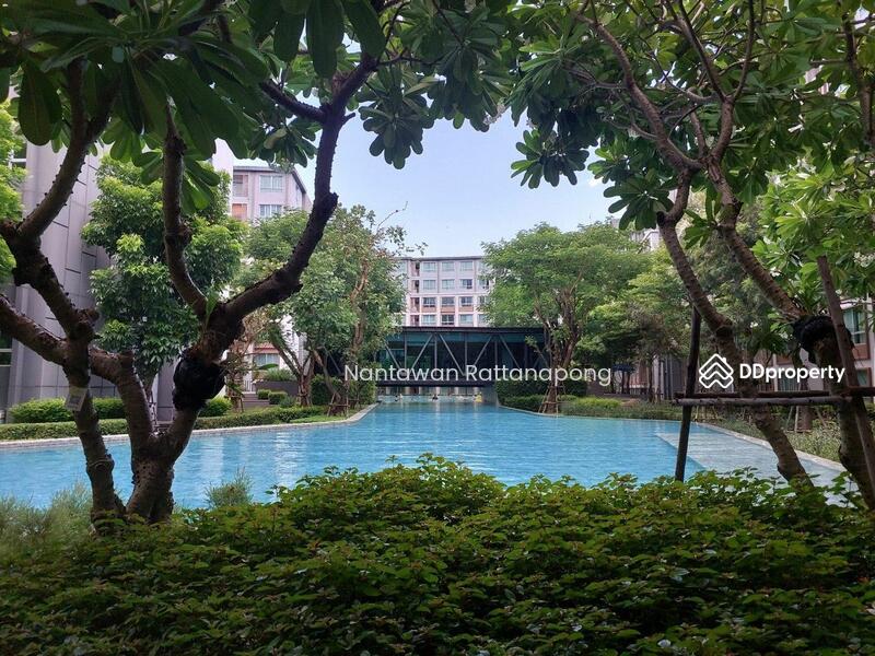 Dcondo Ping : ดีคอนโดพิงค์, เชียงใหม่, 243 ถ. ซุปเปอร์ไฮเวย์ เชียงใหม่-ลำปาง, ฟ้าฮ่าม, เมืองเชียงใหม่, เชียงใหม่, 38 ตร.ม., คอนโด ให้เช่า, โดย Nantawan Rattanapong, 11371197 - DDproperty.com