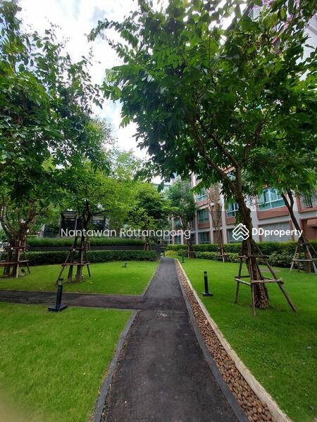 Dcondo Ping : ดีคอนโดพิงค์, เชียงใหม่, 243 ถ. ซุปเปอร์ไฮเวย์ เชียงใหม่-ลำปาง, ฟ้าฮ่าม, เมืองเชียงใหม่, เชียงใหม่, 38 ตร.ม., คอนโด ให้เช่า, โดย Nantawan Rattanapong, 11371197 - DDproperty.com