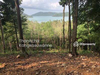 ขาย - ที่ดินเกาะช้าง ตราด, ตราด