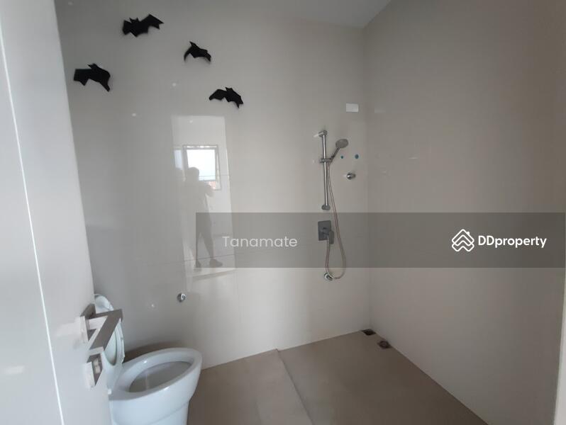 ขาย - โคราซอน ประชาชื่น (Corazon Prachachuen), นนทบุรี