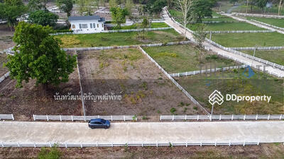 ขาย - ขายที่ดิน แม่ออน ที่ดินพร้อมสร้างบ้าน พื้นที่ 300 ตร.ว วิวภูเขา, เชียงใหม่