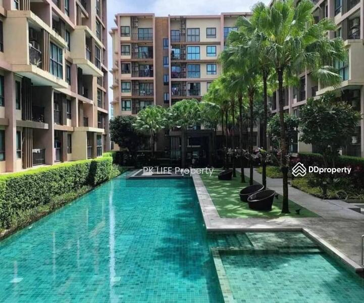 Zcape 3, Phuket, Thep Krasattri Road, Wichit, Muang Phuket, Phuket, Studio, 28 sqm, Condo For Rent, by PK LIFE Property, 11373700 - DDproperty.com