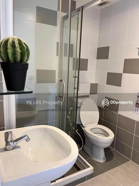 Zcape 3, Phuket, Thep Krasattri Road, Wichit, Muang Phuket, Phuket, Studio, 28 sqm, Condo For Rent, by PK LIFE Property, 11373700 - DDproperty.com