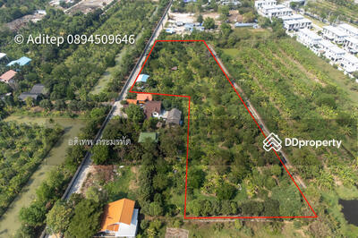 ขาย - สวนส้มโอแม่ศรียงค์, นนทบุรี