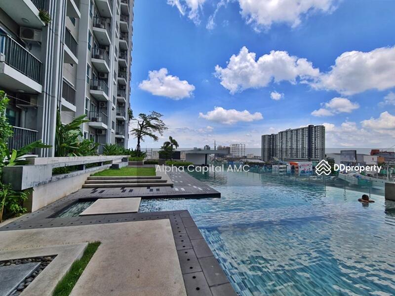 The Parkland Ngamwongwan-Khaerai, Nonthaburi, Tiwanon Road, Bang Khen, Muang Nonthaburi, Nonthaburi, 1 Bedroom, 31 sqm, Condo For Sale, by วารุณี จำรูญนุรักษ์, 11375209 - DDproperty.com