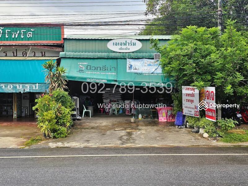 ขาย - ที่ดินเชียงยืน มหาสารคาม 58.3 ตร.วา ติดถนนใหญ่ขอนแก่น-ยางตลาด, มหาสารคาม