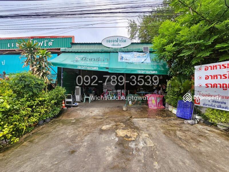 ขาย - ที่ดินเชียงยืน มหาสารคาม 58.3 ตร.วา ติดถนนใหญ่ขอนแก่น-ยางตลาด, มหาสารคาม