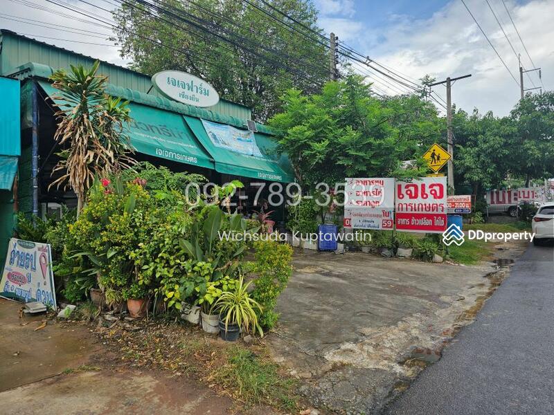 ขาย - ที่ดินเชียงยืน มหาสารคาม 58.3 ตร.วา ติดถนนใหญ่ขอนแก่น-ยางตลาด, มหาสารคาม