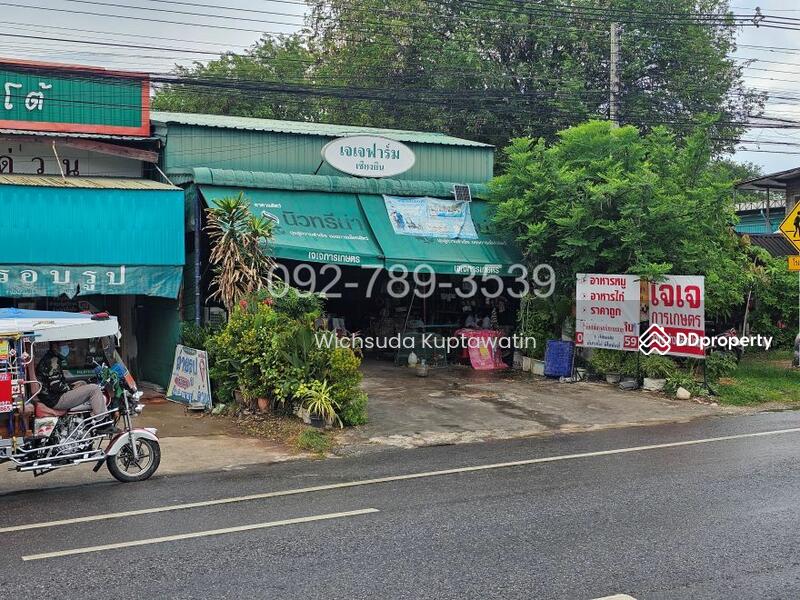 ขาย - ที่ดินเชียงยืน มหาสารคาม 58.3 ตร.วา ติดถนนใหญ่ขอนแก่น-ยางตลาด, มหาสารคาม