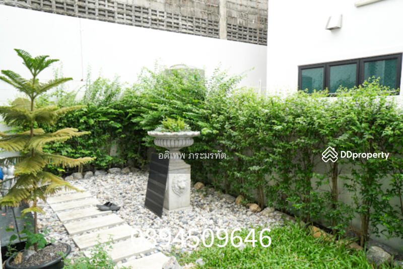 ขาย - Patreeda Avenue Rangsit-Klong 2 : ภัทรีดา อเวนิว รังสิต-คลอง 2, ปทุมธานี