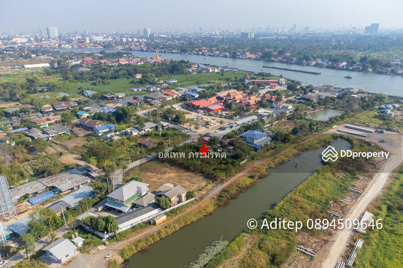 ขาย - ที่ดิน ชัยพฤกษ์, นนทบุรี
