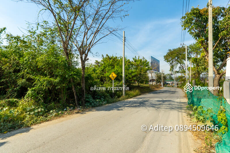 ขาย - ที่ดิน ชัยพฤกษ์, นนทบุรี