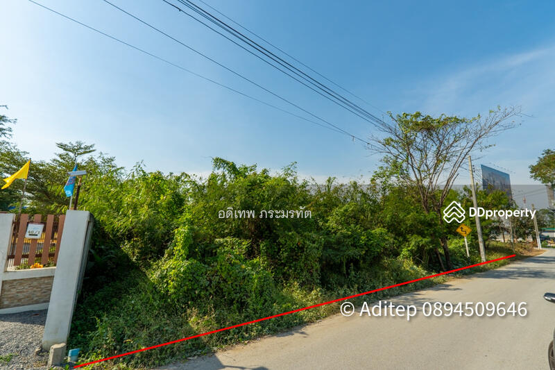 ขาย - ที่ดิน ชัยพฤกษ์, นนทบุรี