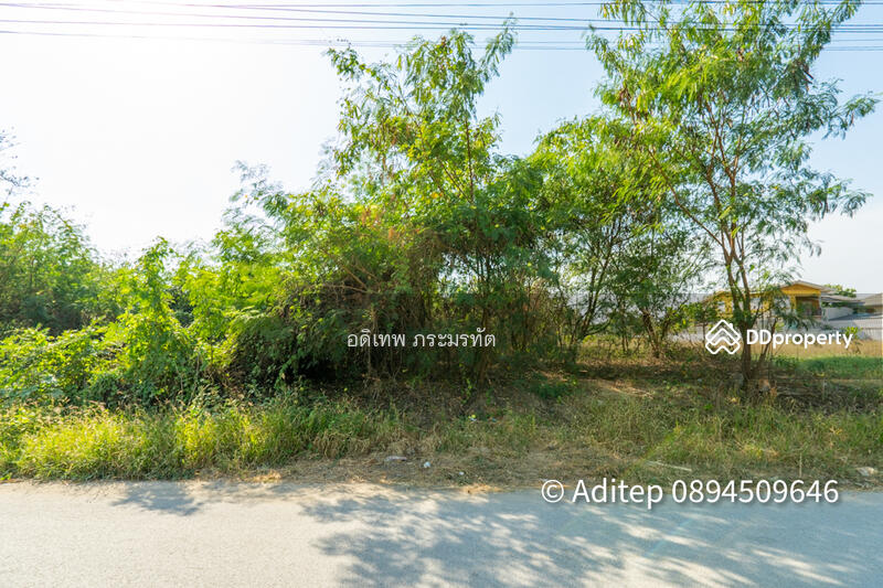 ขาย - ที่ดิน ชัยพฤกษ์, นนทบุรี