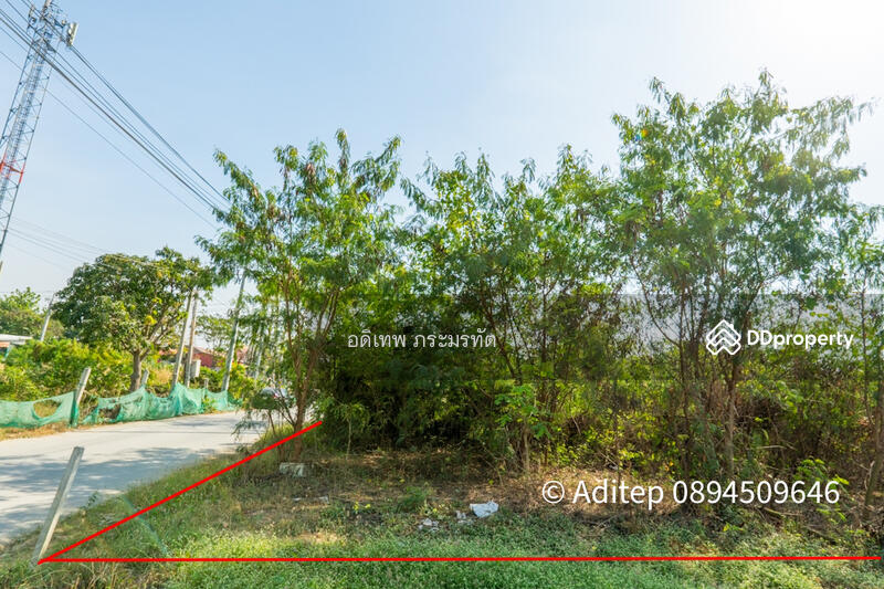 ขาย - ที่ดิน ชัยพฤกษ์, นนทบุรี