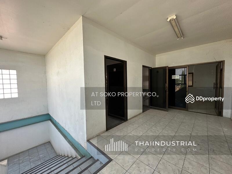 โกดังให้เช่า โรงงานให้เช่า 1710 ตรม แพรกษาใหม่, เมืองสมุทรปราการ, สมุทรปราการ (ID: AT1584R), สมุทรปราการ, แพรกษาใหม่, เมืองสมุทรปราการ, สมุทรปราการ, 1,710 ตร.ม., โกดัง-โรงงาน ให้เช่า, โดย AT SOKO PROPERTY CO., LTD, 11376195 - DDproperty.com