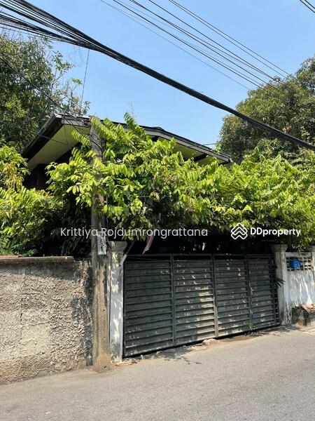 ใกล้ BTS ปุณณวิถี ระยะเดินได้ 700 เมตร หน้าวัดธรรมมงคล ที่ดิน 36 ตร.วา พร้อมบ้าน 2 ชั้น, กรุงเทพ, 21 ปุณณวิถี20 สุขุมวิท101, บางจาก, พระโขนง, กรุงเทพ, 150 ตร.ม., บ้านเดี่ยว ให้เช่า, โดย Krittiya Rojdumrongrattana, 11376868 - DDproperty.com