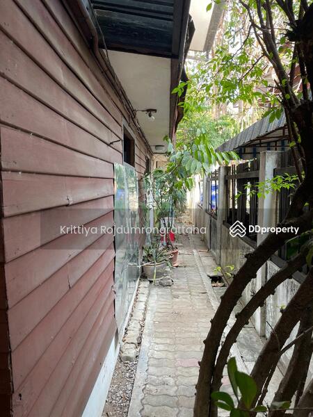 ใกล้ BTS ปุณณวิถี ระยะเดินได้ 700 เมตร หน้าวัดธรรมมงคล ที่ดิน 36 ตร.วา พร้อมบ้าน 2 ชั้น, กรุงเทพ, 21 ปุณณวิถี20 สุขุมวิท101, บางจาก, พระโขนง, กรุงเทพ, 150 ตร.ม., บ้านเดี่ยว ให้เช่า, โดย Krittiya Rojdumrongrattana, 11376868 - DDproperty.com