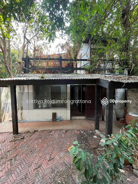 Near BTS Punnawithi Bangkok walking distance 700 m. Land 144 sqm and house 2 floors, Bangkok, 21 ปุณณวิถี20 สุขุมวิท101, Bang Chak, Phra Khanong, Bangkok, 3 Bedrooms, 150 sqm, Single Detached House For Rent, by Krittiya Rojdumrongrattana, 11376868 - DDproperty.com