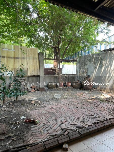 Near BTS Punnawithi Bangkok walking distance 700 m. Land 144 sqm and house 2 floors, Bangkok, 21 ปุณณวิถี20 สุขุมวิท101, Bang Chak, Phra Khanong, Bangkok, 3 Bedrooms, 150 sqm, Single Detached House For Rent, by Krittiya Rojdumrongrattana, 11376868 - DDproperty.com