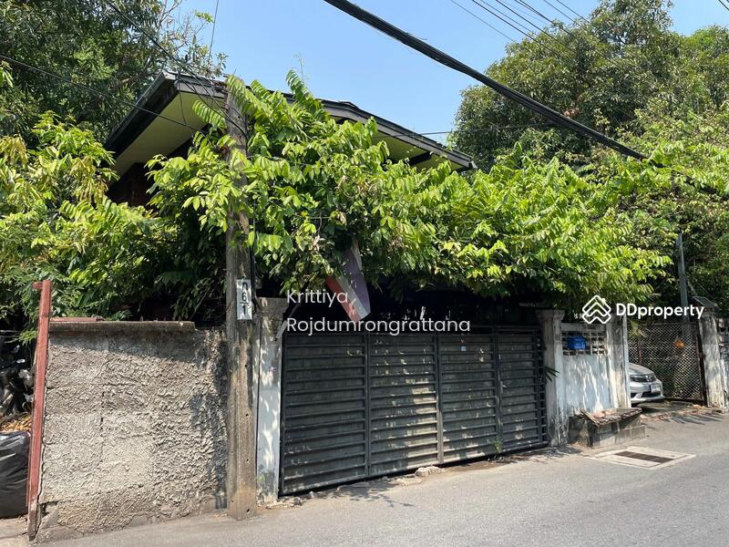 ใกล้ BTS ปุณณวิถี ระยะเดินได้ 700 เมตร หน้าวัดธรรมมงคล ที่ดิน 36 ตร.วา พร้อมบ้าน 2 ชั้น, กรุงเทพ, 21 ปุณณวิถี20 สุขุมวิท101, บางจาก, พระโขนง, กรุงเทพ, 150 ตร.ม., บ้านเดี่ยว ให้เช่า, โดย Krittiya Rojdumrongrattana, 11376868 - DDproperty.com