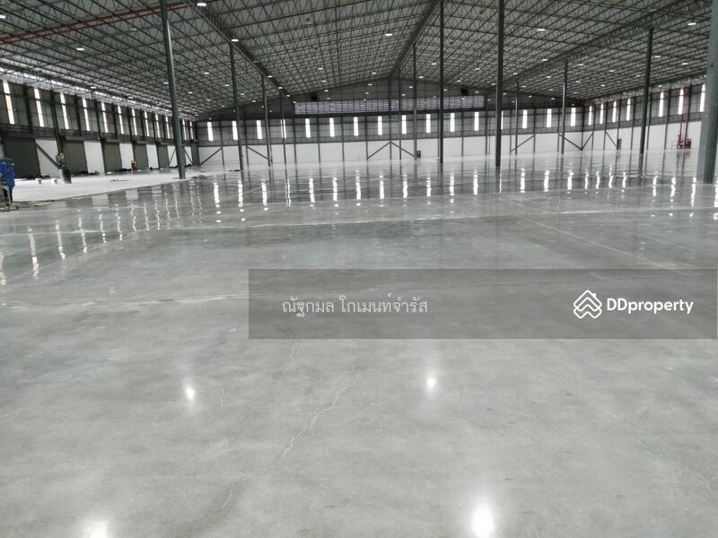 ให้เช่าโกดัง/โรงงานหนองขาม warehouse 33/11 ชลบุรี, Chon Buri (Pattaya), Si Racha, Chon Buri (Pattaya), , 6,000 sqm, Warehouse/Factory For Rent, by ณัฐกมล โกเมนท์จำรัส, 11377499 - DDproperty.com