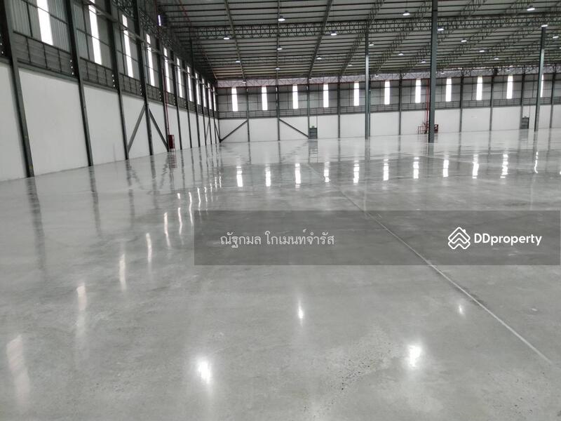 ให้เช่าโกดัง/โรงงานหนองขาม warehouse 33/11 ชลบุรี, Chon Buri (Pattaya), Si Racha, Chon Buri (Pattaya), , 6,000 sqm, Warehouse/Factory For Rent, by ณัฐกมล โกเมนท์จำรัส, 11377499 - DDproperty.com