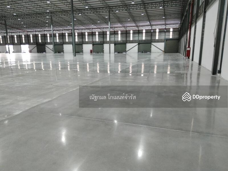 ให้เช่าโกดัง/โรงงานหนองขาม warehouse 33/11 ชลบุรี, Chon Buri (Pattaya), Si Racha, Chon Buri (Pattaya), , 6,000 sqm, Warehouse/Factory For Rent, by ณัฐกมล โกเมนท์จำรัส, 11377499 - DDproperty.com