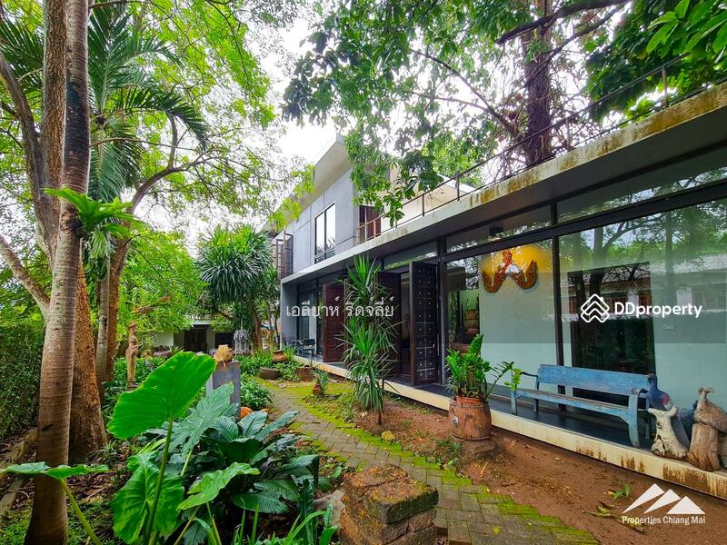 บ้านและโชว์รูมแยก บนถนนสายหลัก แหล่งท่องเที่ยวในแม่ริม, เชียงใหม่, ริมใต้, แม่ริม, เชียงใหม่, 198 ตร.ม., บ้านเดี่ยว ขาย, โดย เอลียาห์ ริดจ์ลี่ย์, 11379357 - DDproperty.com