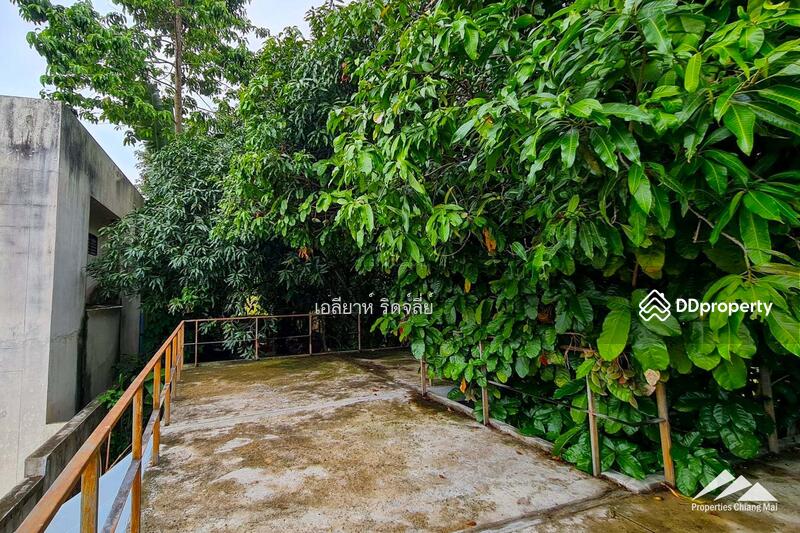House & Separate Showroom On A Main Road In A Tourist Area In Mae Rim, Chiang Mai, Rim Tai, Mae Rim, Chiang Mai, 2 Bedrooms, 198 sqm, Single Detached House For Sale, by Elijah Ridgley, 11379357 - DDproperty.com