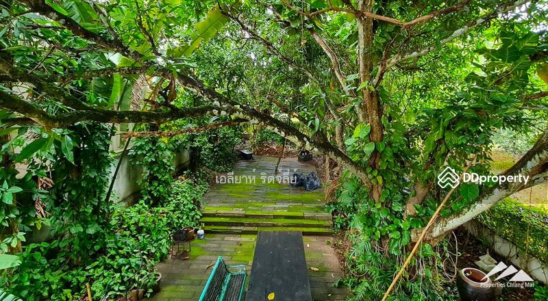 House & Separate Showroom On A Main Road In A Tourist Area In Mae Rim, Chiang Mai, Rim Tai, Mae Rim, Chiang Mai, 2 Bedrooms, 198 sqm, Single Detached House For Sale, by Elijah Ridgley, 11379357 - DDproperty.com