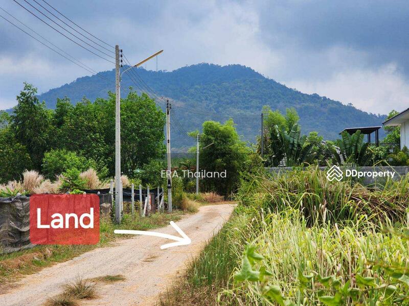 ขายที่ดิน วิวภูเขายายดา ห่างจากตลาดและท่าเรือบ้านเพ จ.ระยอง เพียง 10 นาที, Rayong, Taphong, Muang Rayong, Rayong, , 800 sqm, Land For Sale, by ERA Thailand, 11379883 - DDproperty.com