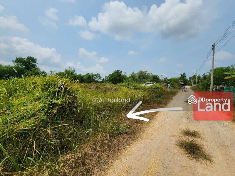 ขายที่ดิน วิวภูเขายายดา ห่างจากตลาดและท่าเรือบ้านเพ จ.ระยอง เพียง 10 นาที, Rayong, Taphong, Muang Rayong, Rayong, , 800 sqm, Land For Sale, by ERA Thailand, 11379883 - DDproperty.com