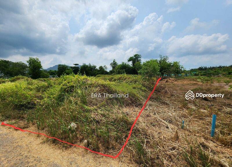 ขายที่ดิน วิวภูเขายายดา ห่างจากตลาดและท่าเรือบ้านเพ จ.ระยอง เพียง 10 นาที, Rayong, Taphong, Muang Rayong, Rayong, , 800 sqm, Land For Sale, by ERA Thailand, 11379883 - DDproperty.com