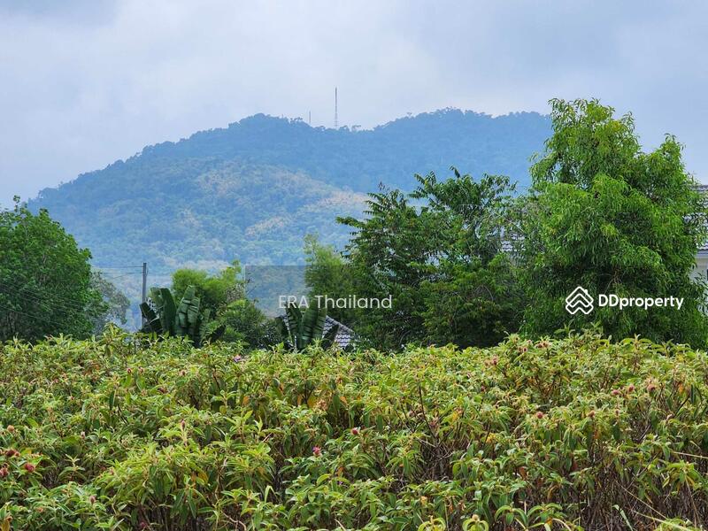 ขายที่ดิน วิวภูเขายายดา ห่างจากตลาดและท่าเรือบ้านเพ จ.ระยอง เพียง 10 นาที, ระยอง, ตะพง, เมืองระยอง, ระยอง, 800 ตร.ม., ที่ดิน ขาย, โดย ERA Thailand, 11379883 - DDproperty.com