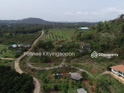 ขาย - ขายที่ดินแปลงสวย วิวดี น้ำไฟพร้อม เหมาะสร้างบ้านพักตากอากาศ ใกล้ถนนพระยาตรัง, จันทบุรี