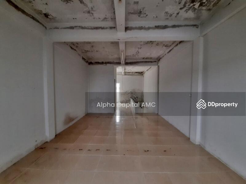 Casalina Place, Soi Permsin 39, Sai Mai, Bangkok, 1/141 เพิ่มสิน, Sai Mai, Sai Mai, Bangkok, 3 Bedrooms, 144 sqm, Townhouse For Sale, by Alpha Capital AMC, 11382864 - DDproperty.com