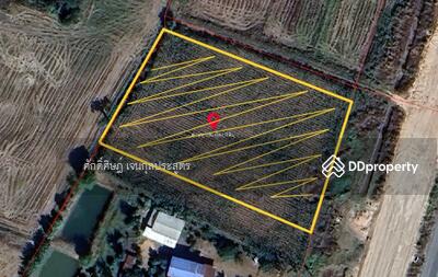 ขาย - ขายที่ดิน 4 ไร่ หนองบัว ติดถนน ราคาดี ทำเลสวย, นครสวรรค์