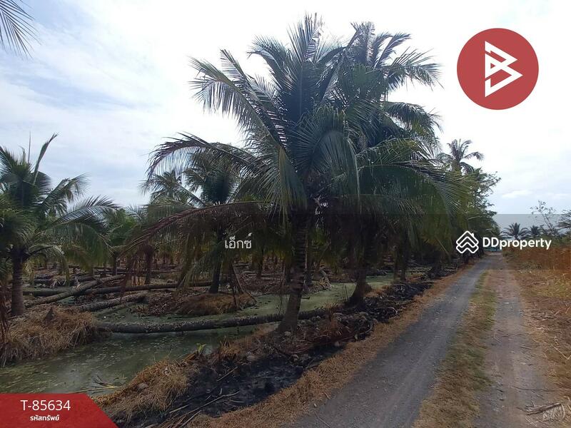 ขาย - ที่ดินสวนมะพร้าว สามพราน นครปฐม, นครปฐม