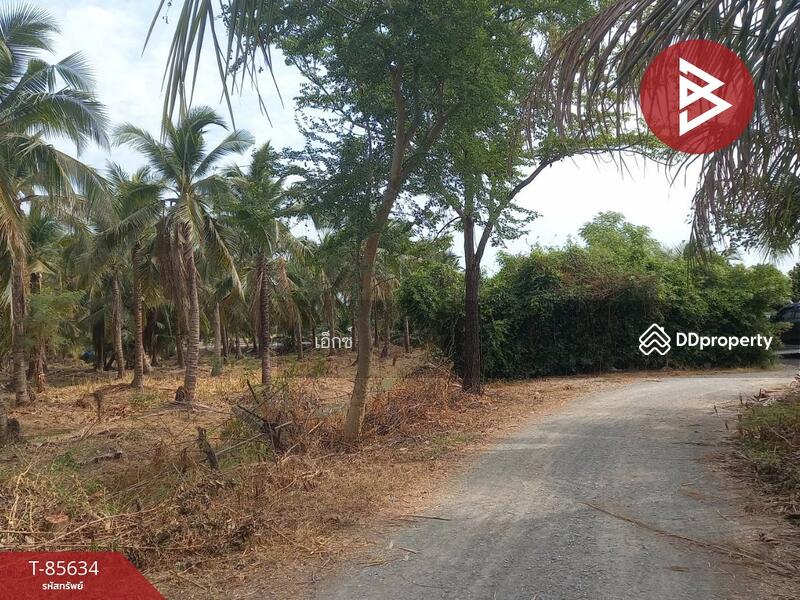 For Sale - ที่ดินสวนมะพร้าว สามพราน นครปฐม, Nakhon Pathom