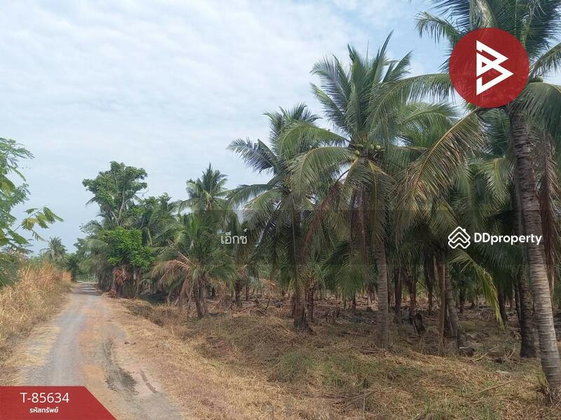 For Sale - ที่ดินสวนมะพร้าว สามพราน นครปฐม, Nakhon Pathom